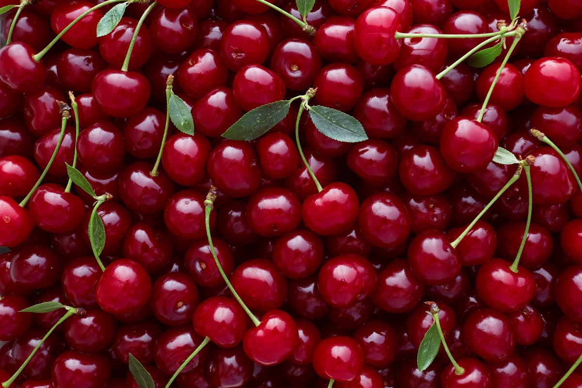 Cherry Season Is Here and How to Get the Best Fruit